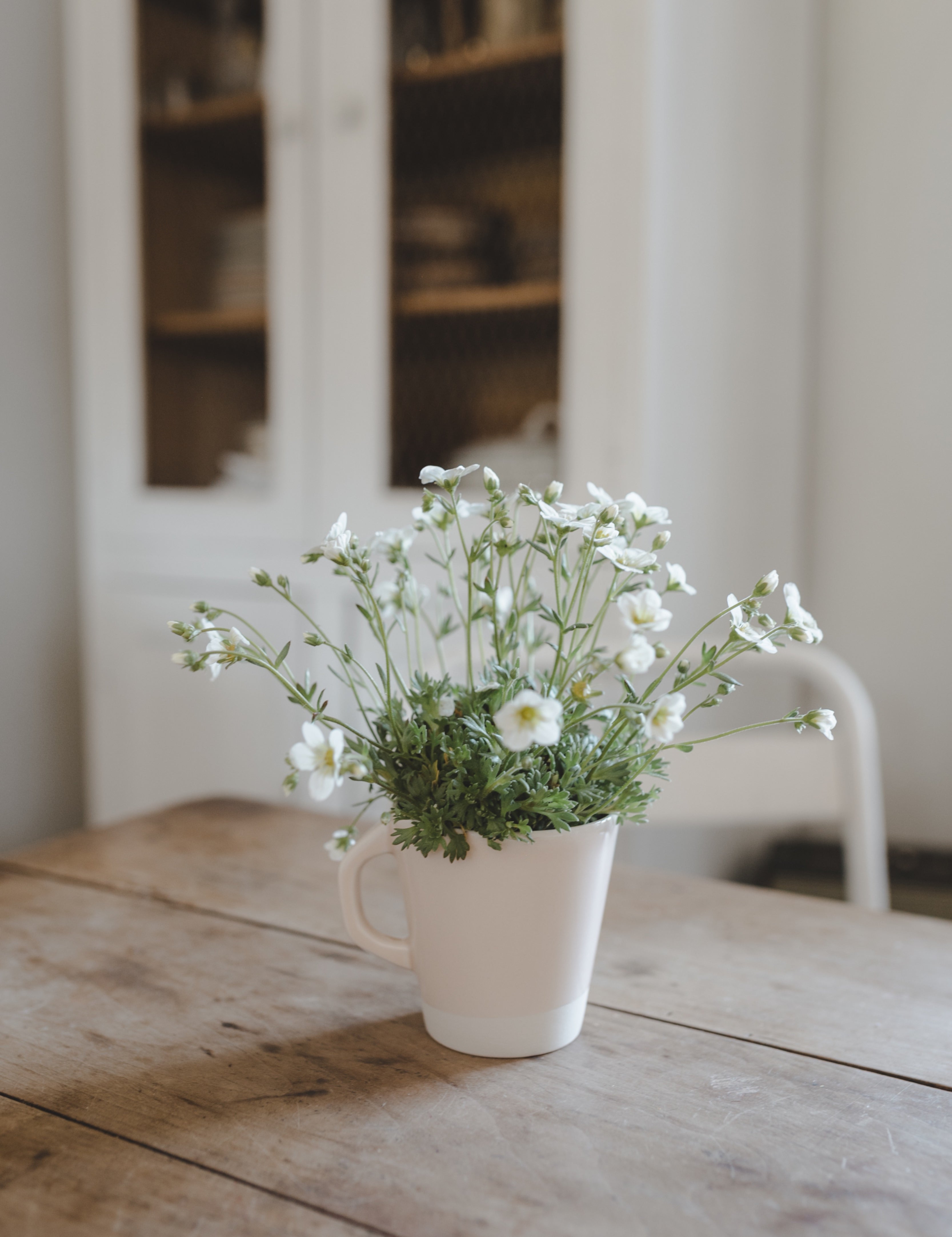 mug rose buvard-Jars Céramistes
