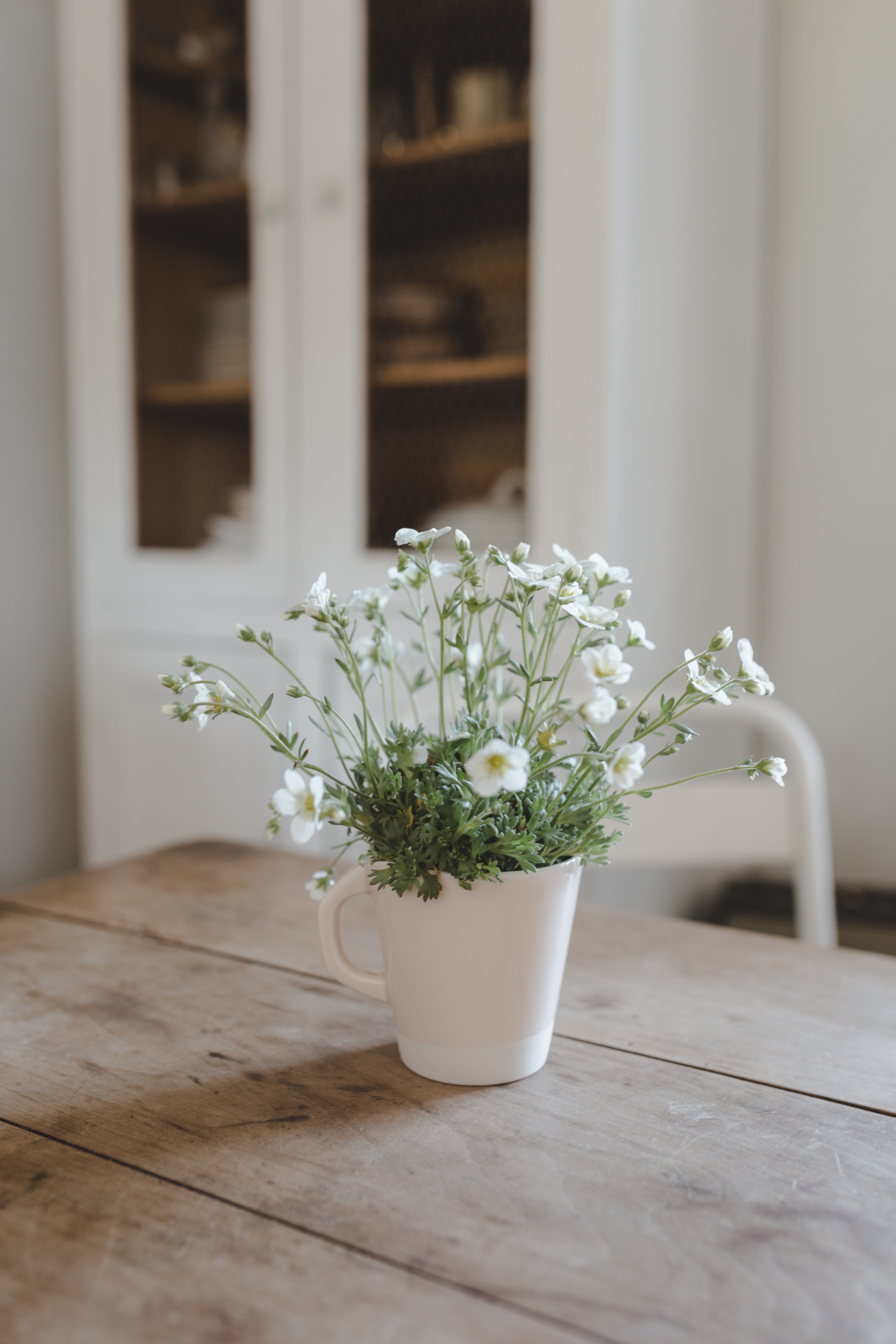 mug rose buvard-Jars Céramistes