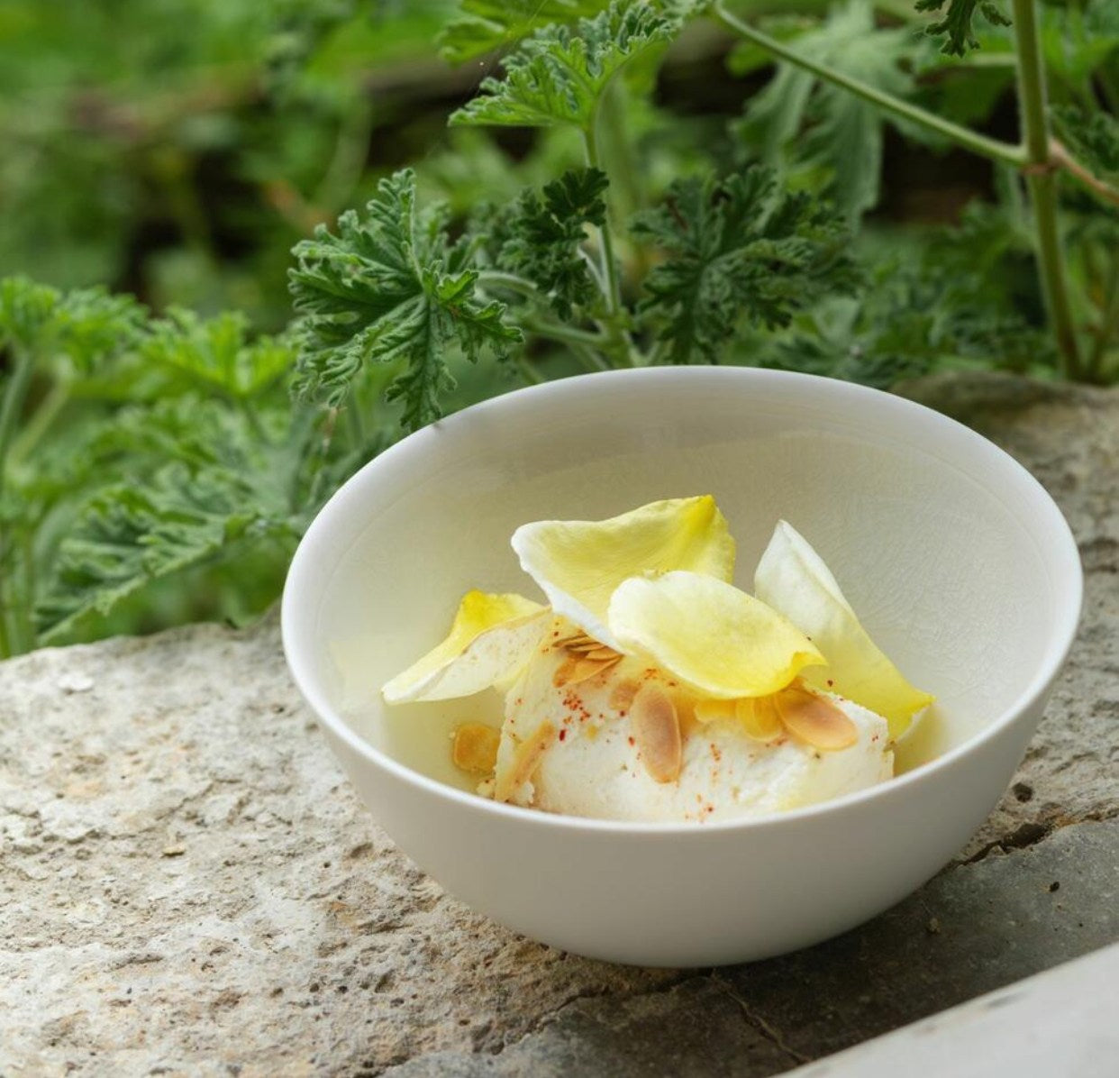coupelle quartz-Jars Céramistes
