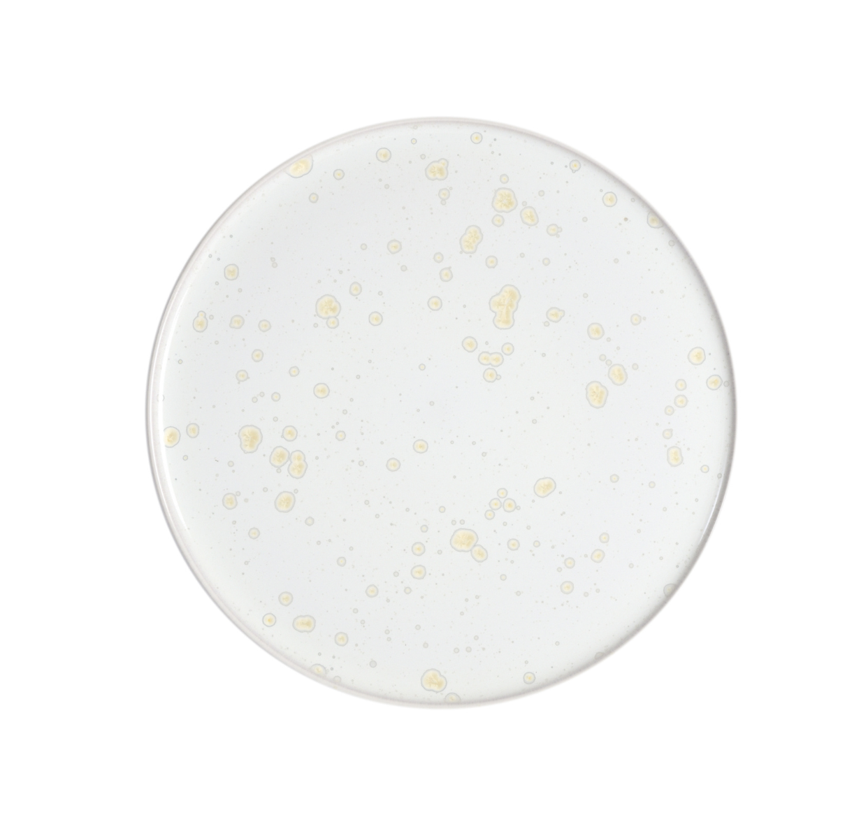 assiette de présentation nacre
